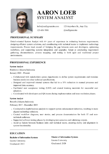 Professional CV Sample 59